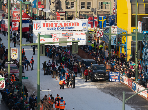 Joining the Iditarod Race Start in Anchorage
