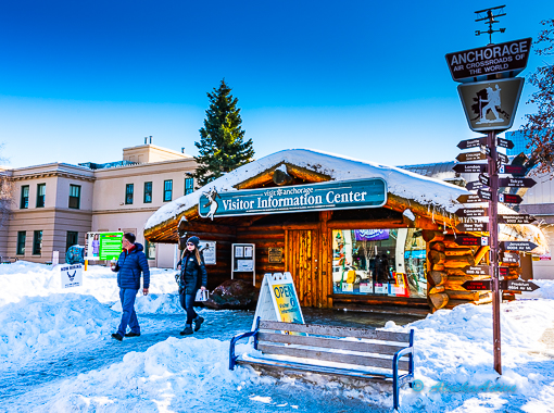 Anchorage Winter City Sightseeing