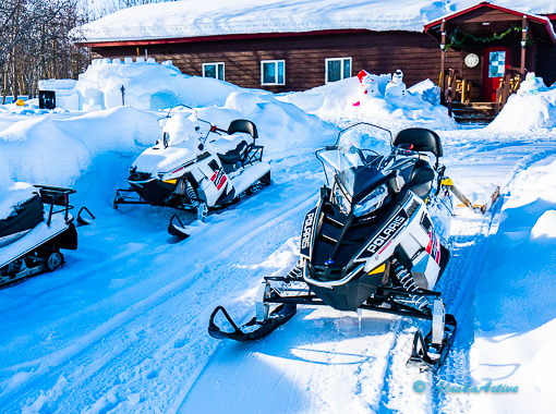 Chena Snowmobile Tour