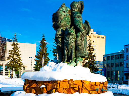 Fairbanks Winter Tour