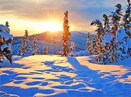Alaska Winter Tour