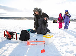 Chena Dog Mushing