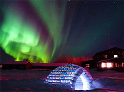 Chena Northern Lights Tour