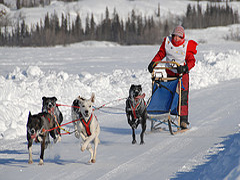 Iditarod 