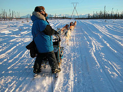 Iditarod 