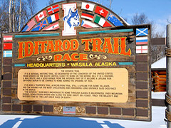 Iditarod 