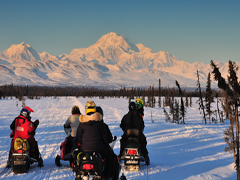 Iditarod