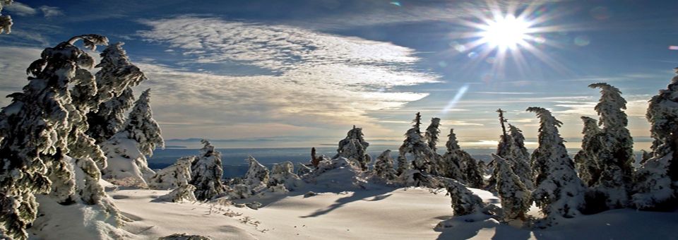 Winter Wonderland