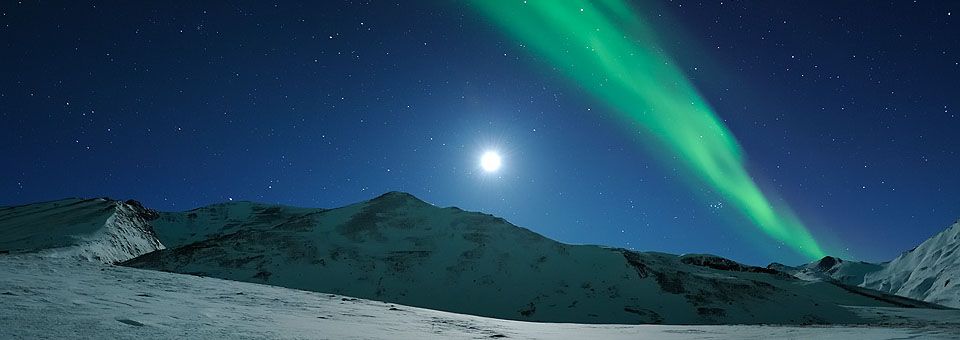 The Northern Lights